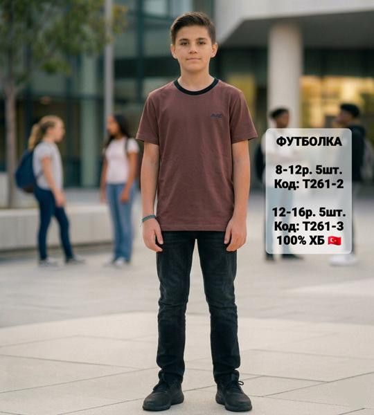 Футболки iBamBino T261-2 brown-black