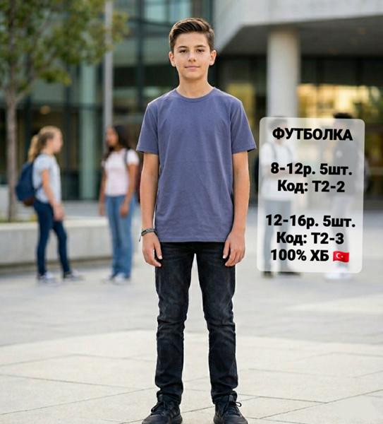 Футболки iBamBino T2-2 grey