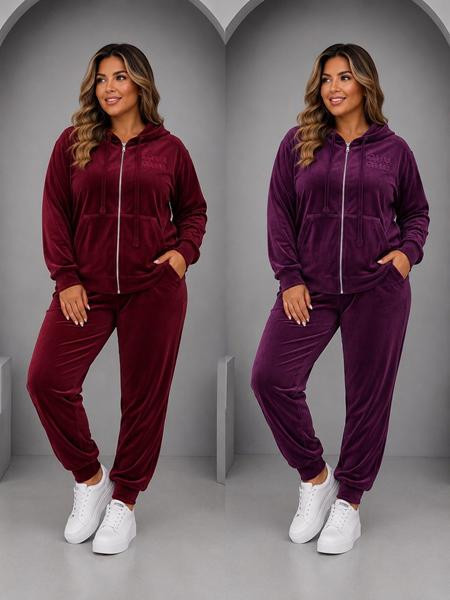 Костюмы спорт Zalov ZW2211 purple