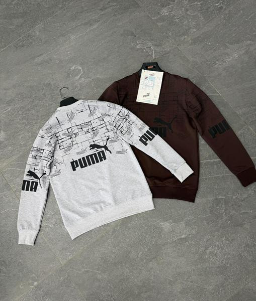 Свитшоты F.T.H F1644 brown