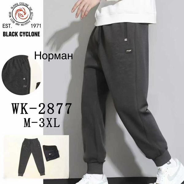 Штаны спорт Giang 2877 grey
