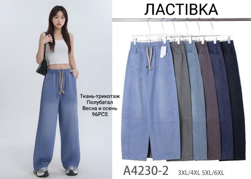 Штаны спорт Giang A4230-2 mix