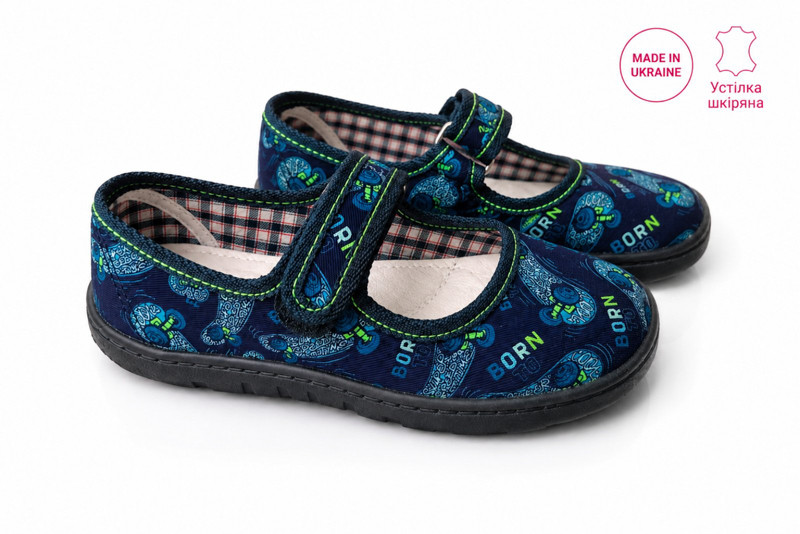 Тапочки Slipers Школа скейт синій
