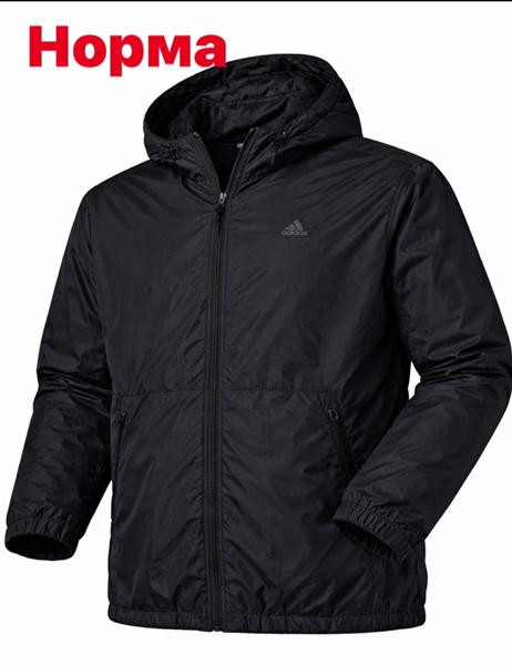 Ветровки Alex Clothes 14874 black