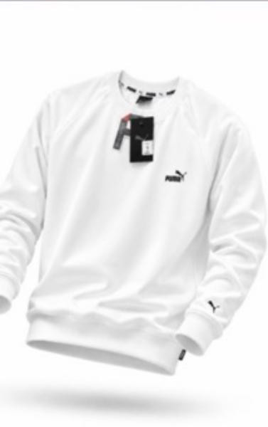 Свитшоты Alex Clothes 14875 white