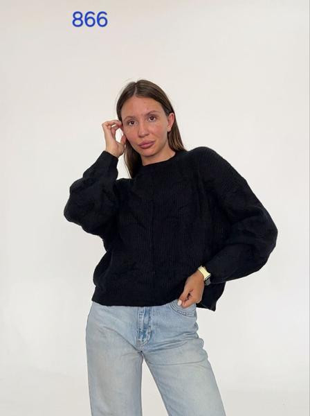 Свитшоты FSN 866 black