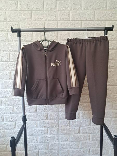 Костюмы спорт Proschenko PR1495 brown
