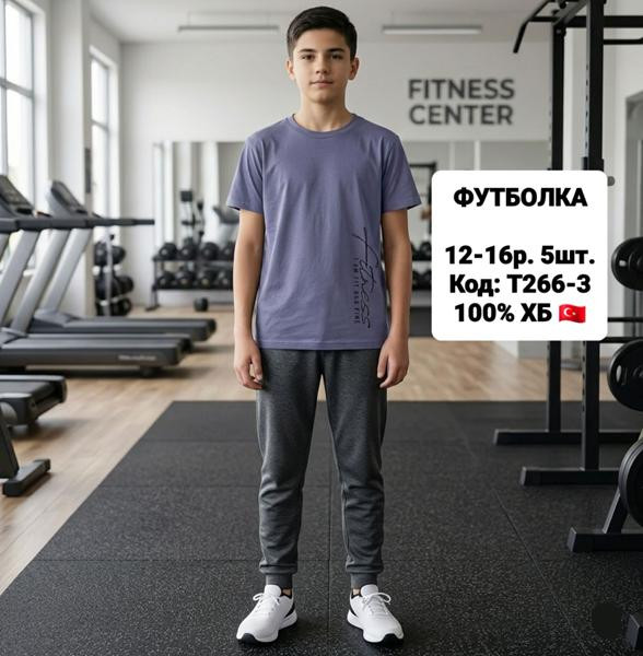 Футболки iBamBino T266-3 grey